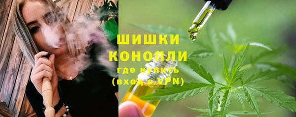 apvp Белокуриха