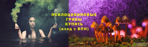apvp Белокуриха