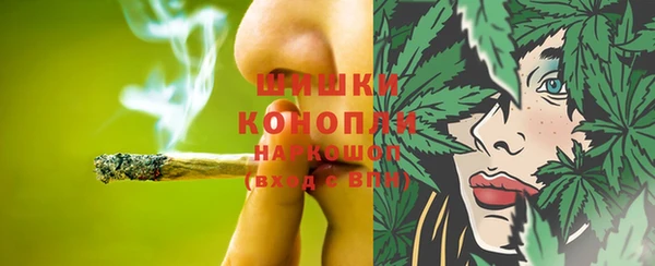apvp Белокуриха