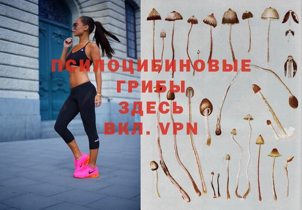 apvp Белокуриха
