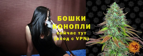 apvp Белокуриха